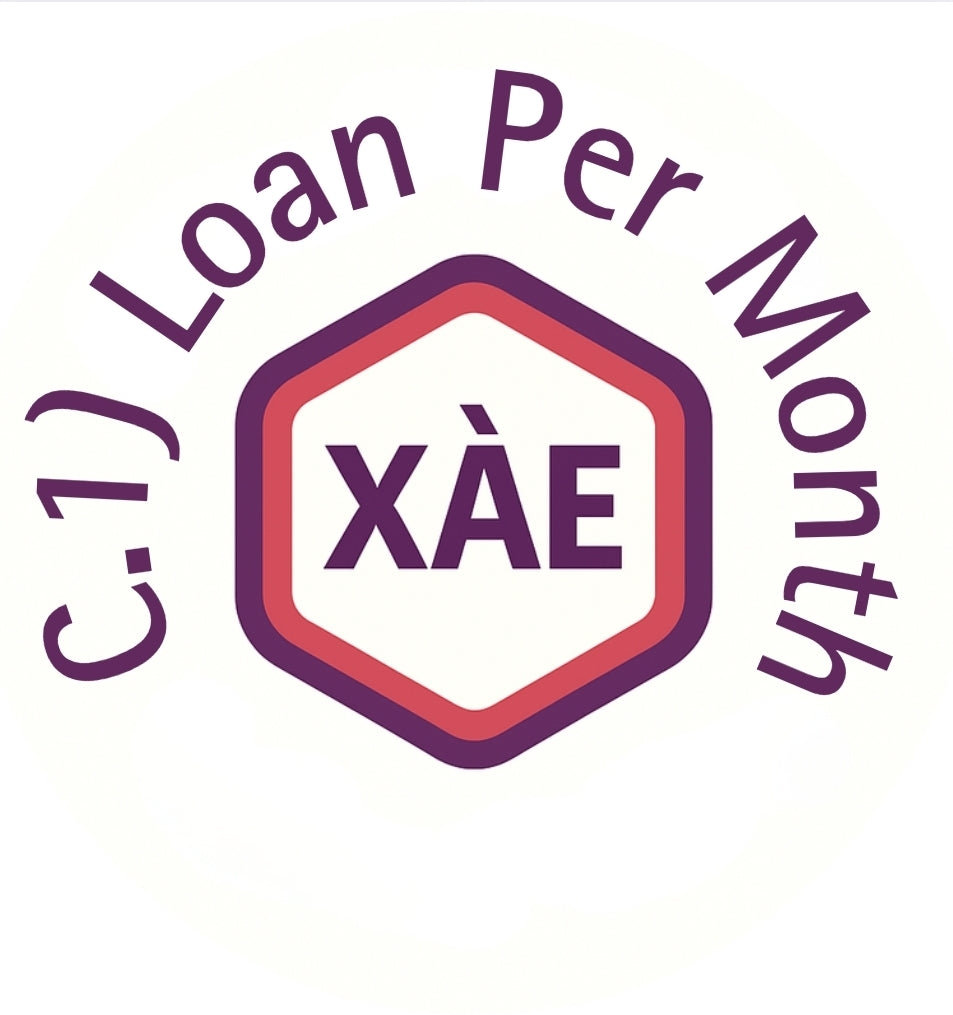 C.1) Loan per Month